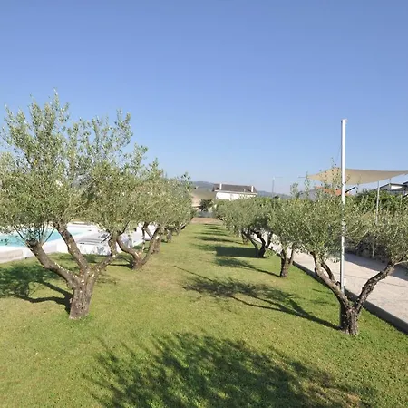 Olival Da Seara * Marco de Canavezes