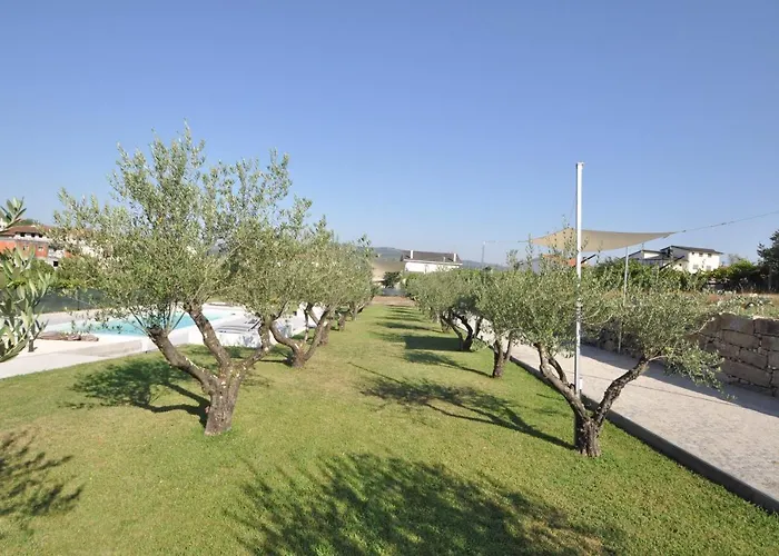 Olival Da Seara * Marco de Canavezes